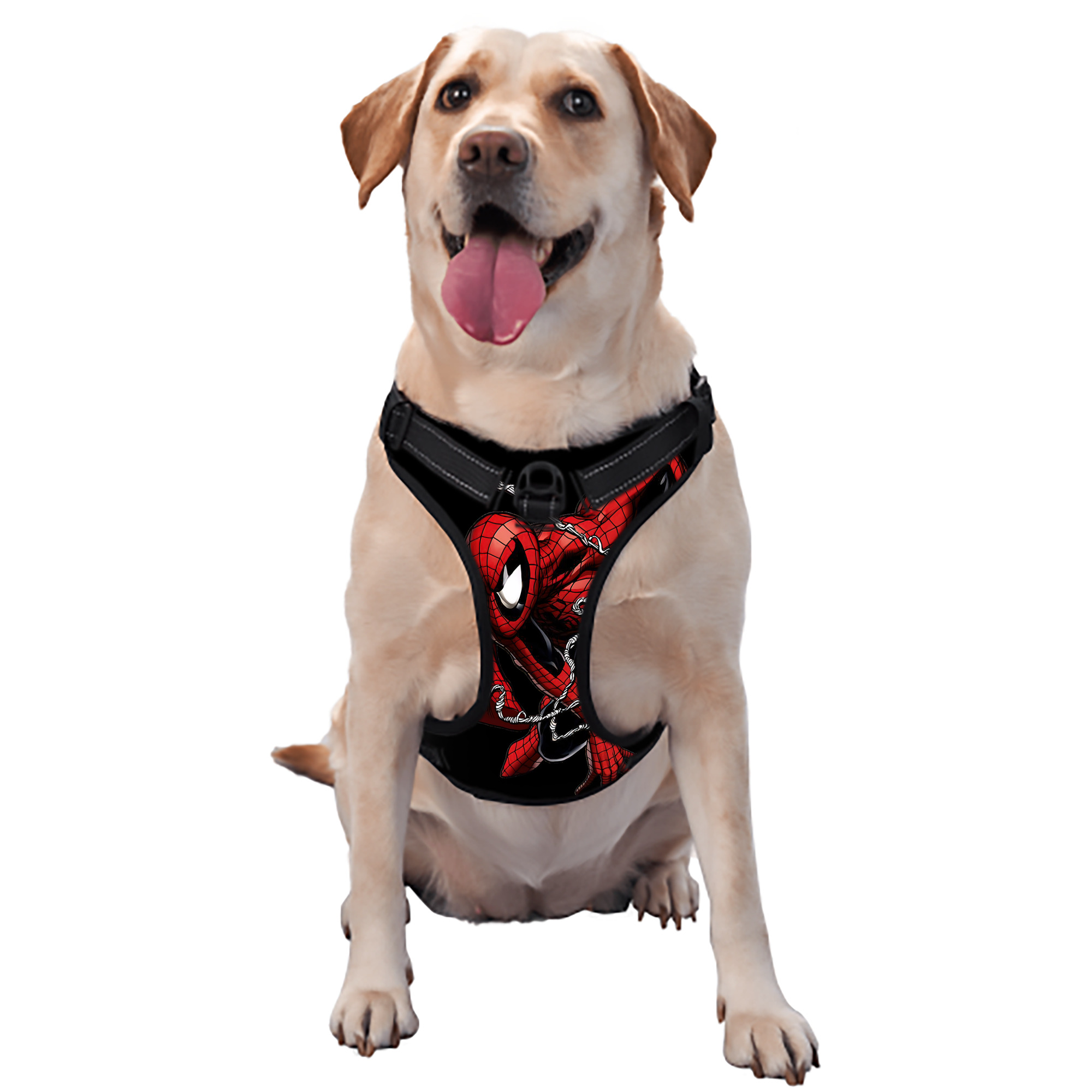 （画像用） Spider Man スパイダーマン ペット用ハーネス